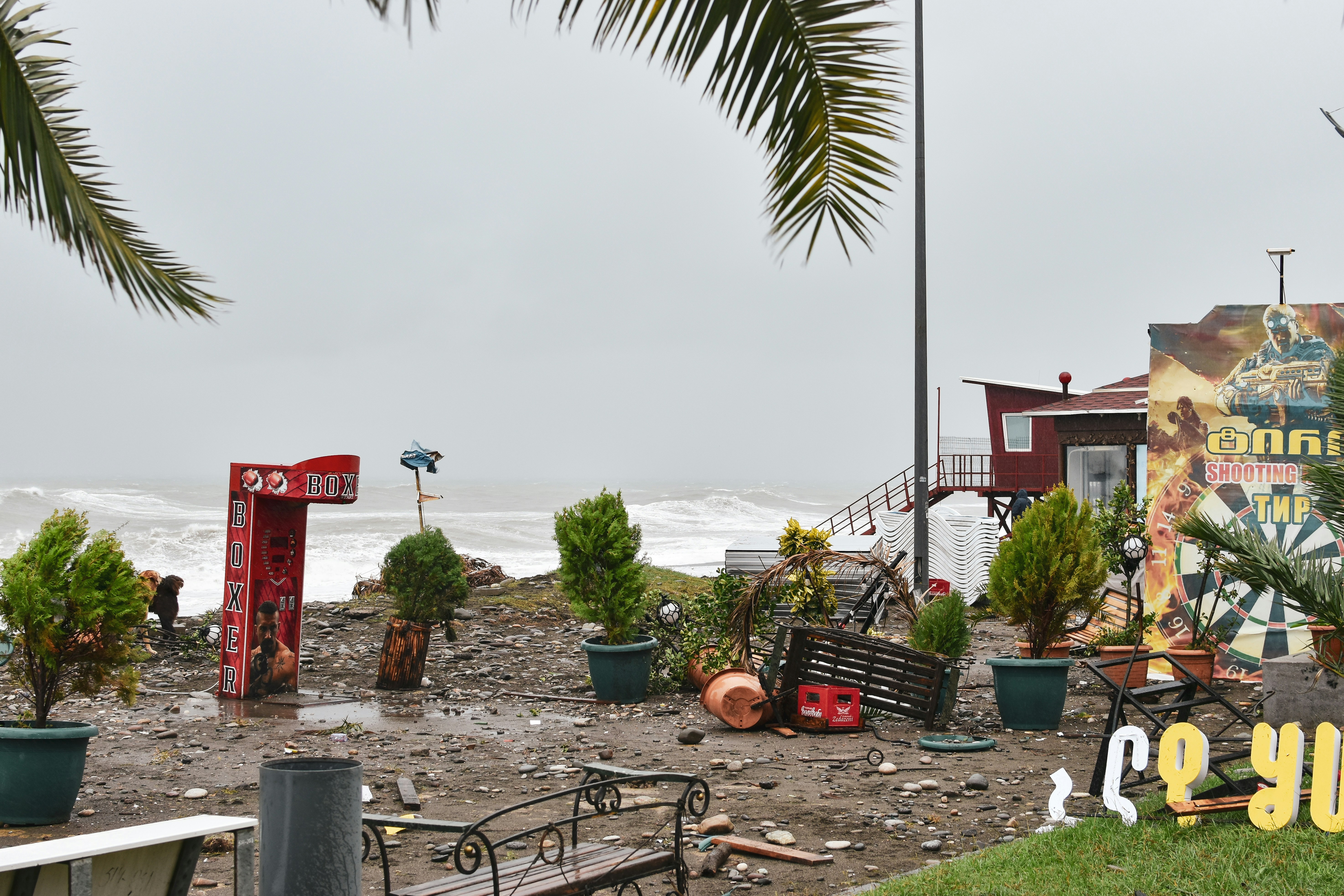 a bunch of plants that are sitting on the ground