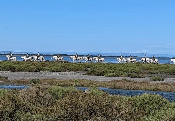 a woman getting a back massage at a spa