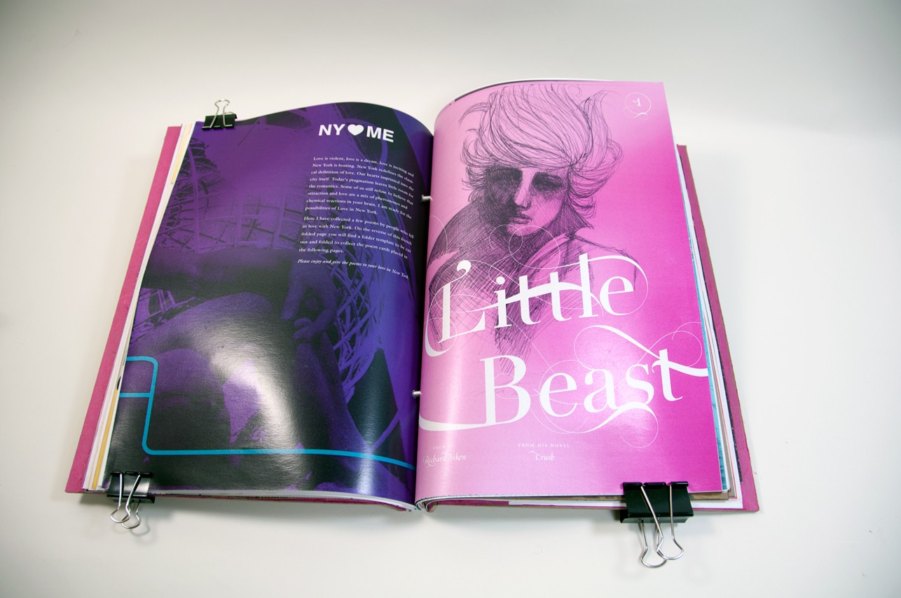 an opened book with the left side depicting a dark color image and some text and on the right side the title Little Beast over a drawing and pink background