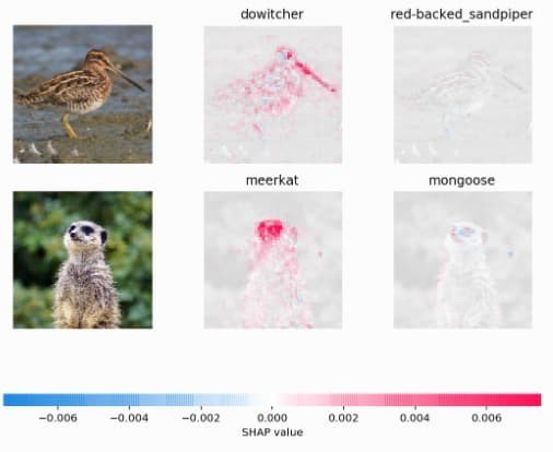 No alt text provided for this image