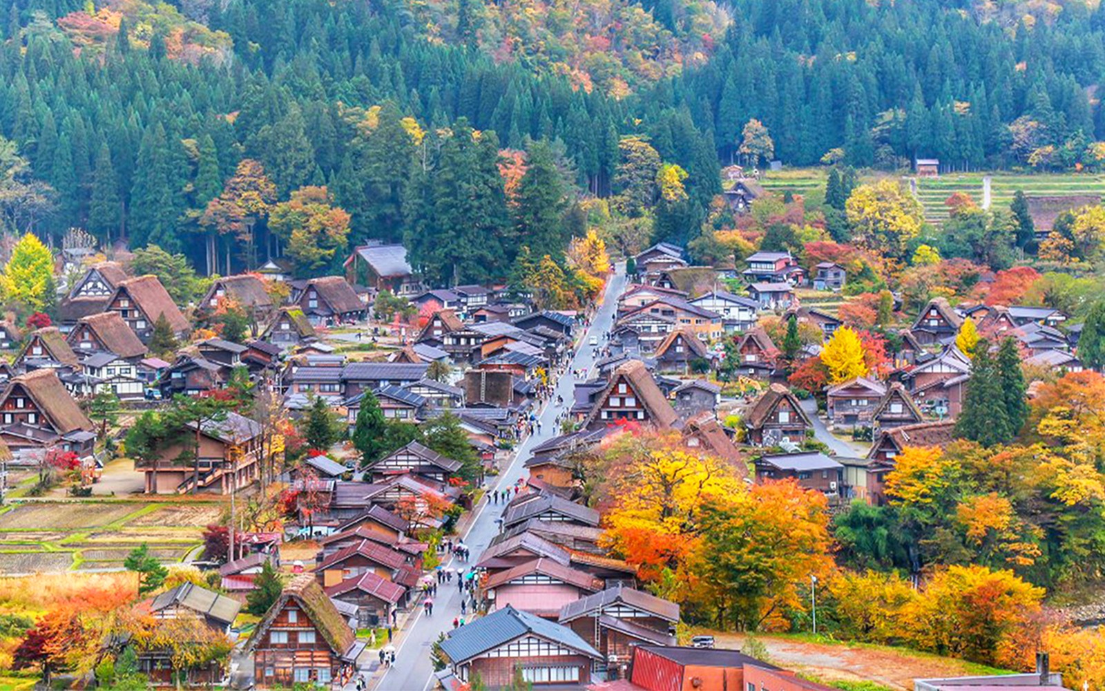 Traditional gassho-style houses in Shirakawa-go village surrounded by autumn foliage.