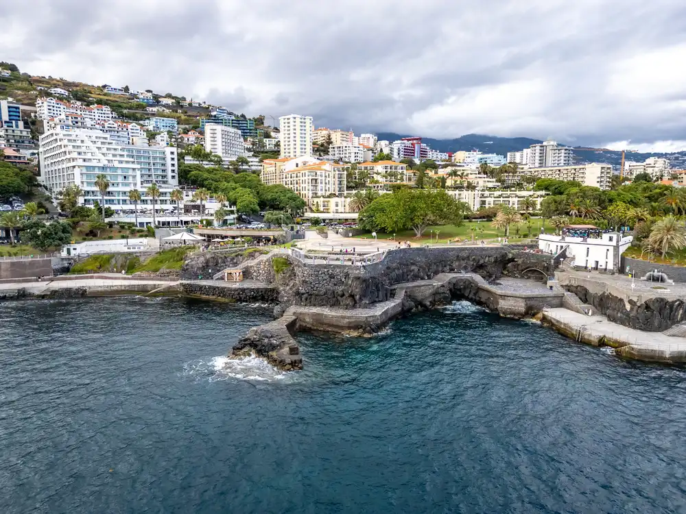 train on bridge surrounded with trees at daytime