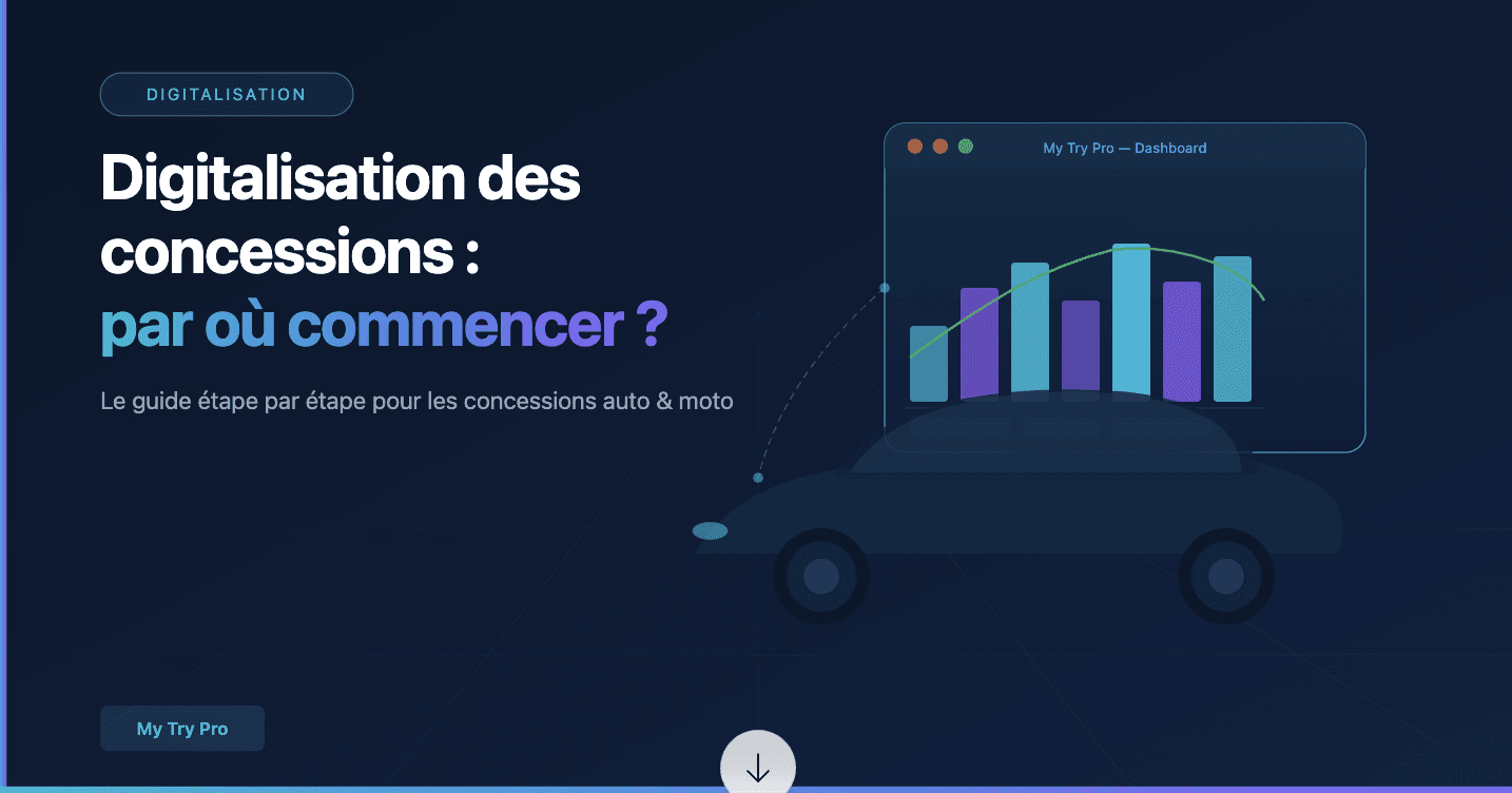 A close-up of dark, black roses with soft petals, creating an elegant and moody floral arrangement.