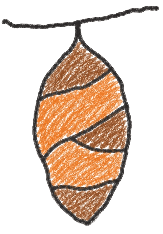 Hand-drawn chrysalis illustrating Ongoing Psychotherapy
