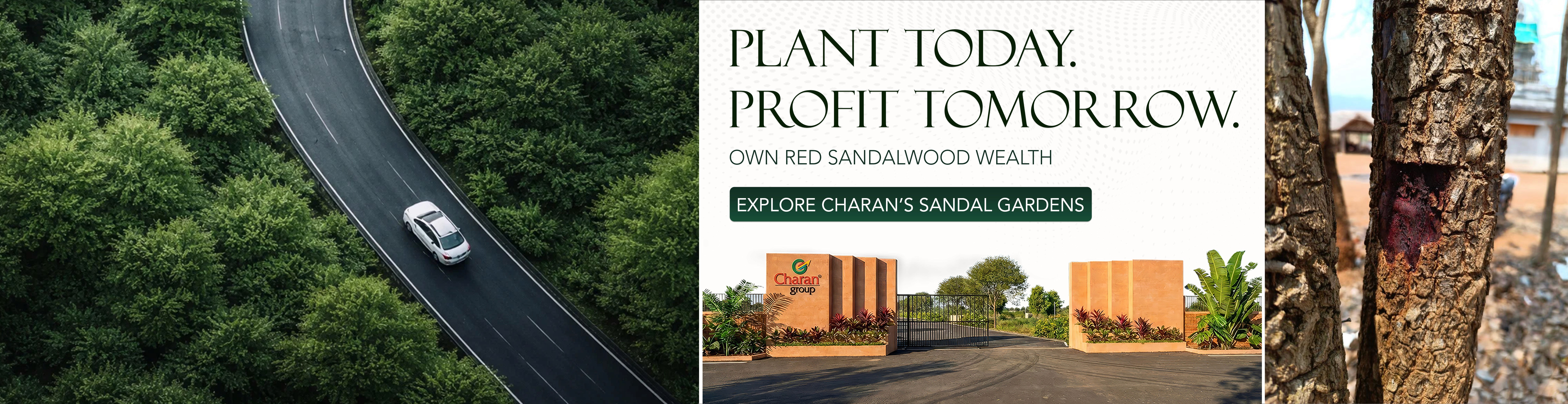 Farm plot for sale in Hyderabad - Sandal Gardens Managed Farmland Project - Blog Banner by Charan Group
