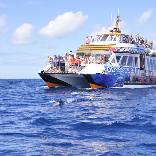 莫羅哈布爾:玻璃底船之旅 + 莫羅哈布爾的午餐門票