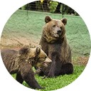 Zoológico  - Motion Turismo