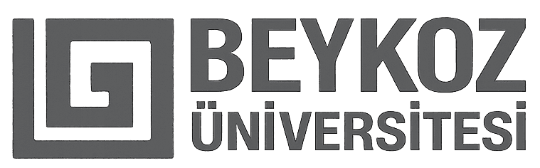 Beykoz University logo, a higher education client partnering with Vixilia for strategic growth and lead generation