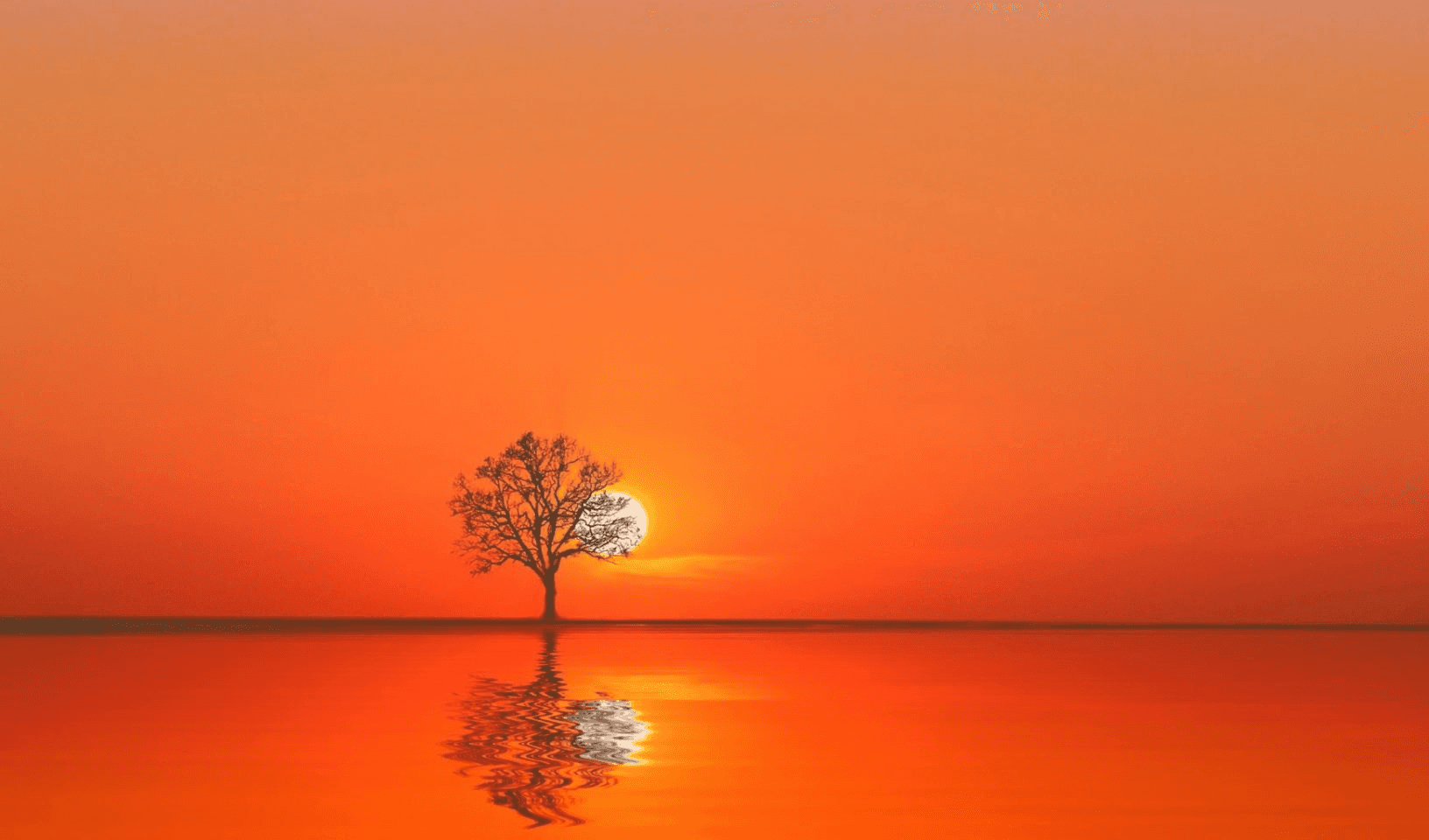 Woman with curly hair standing in a busy modern office.