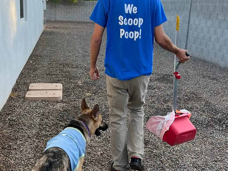 A Scoopers pooper-scooper employee in a blue shirt walks a dog on a leash, carrying a small bag, along a gravel path.