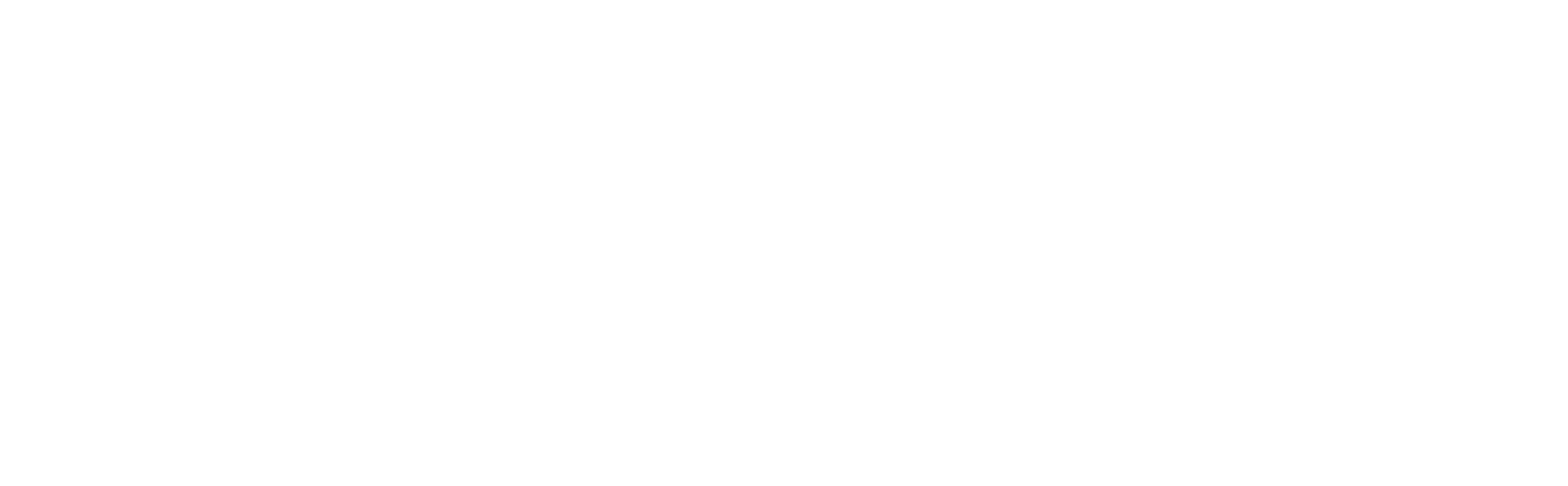Perform Template Logo
