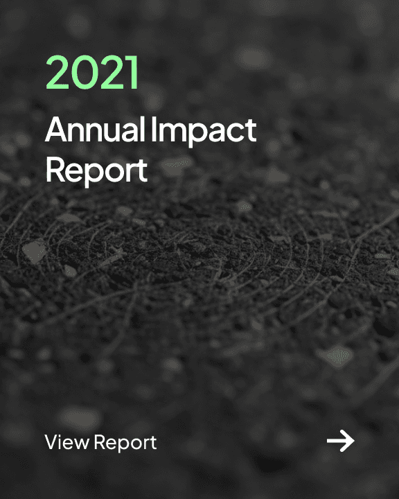 2021 Annual Impact Report