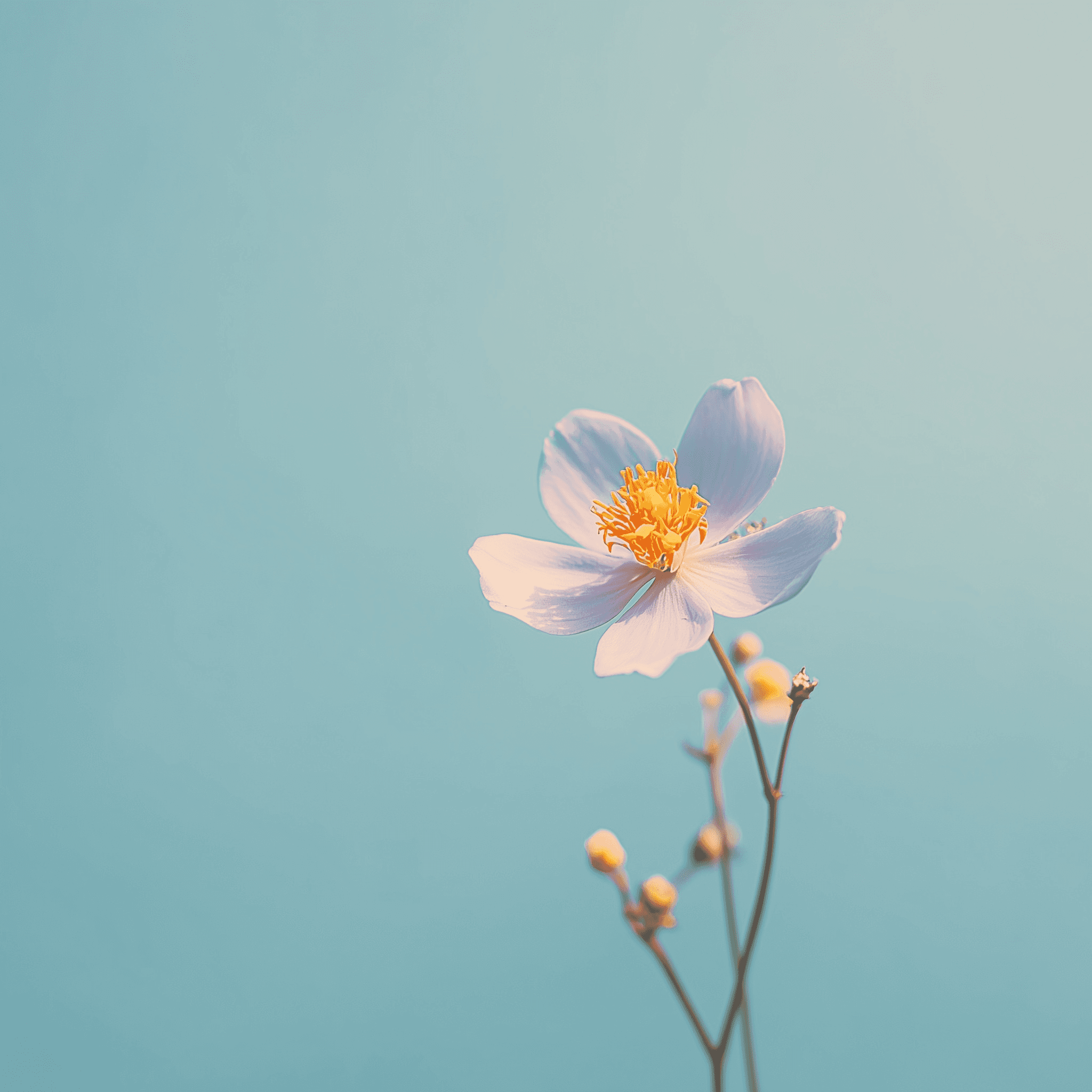 Describe your image here