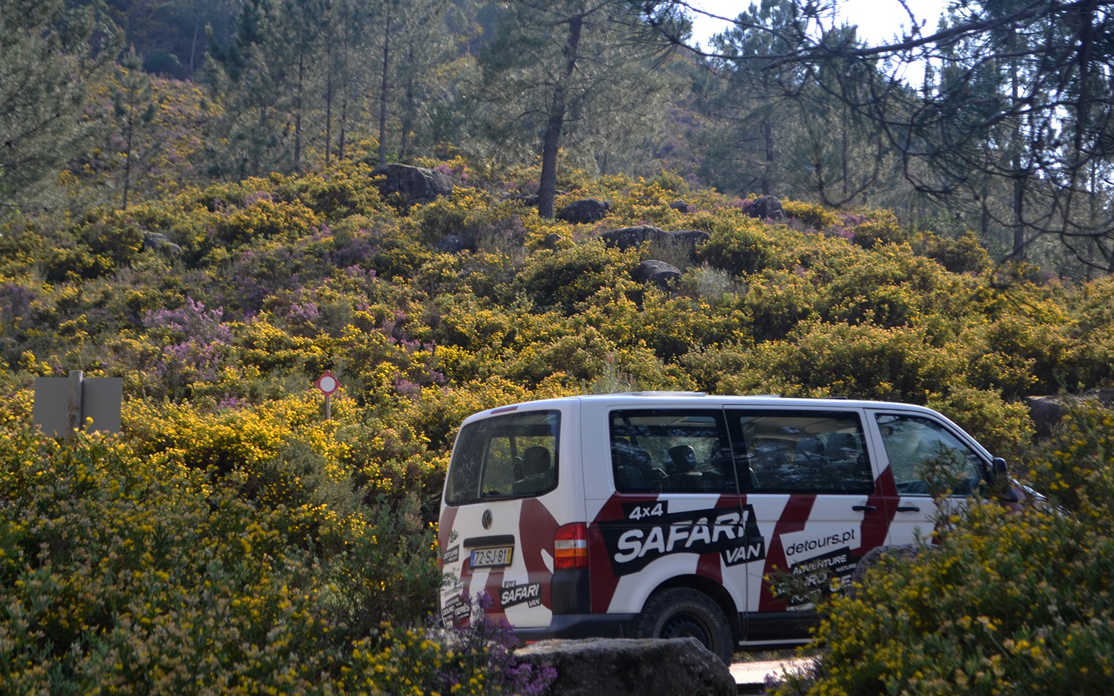 位于佩内达-杰雷斯国家公园的旅行车，周围环绕着郁郁葱葱的绿地。