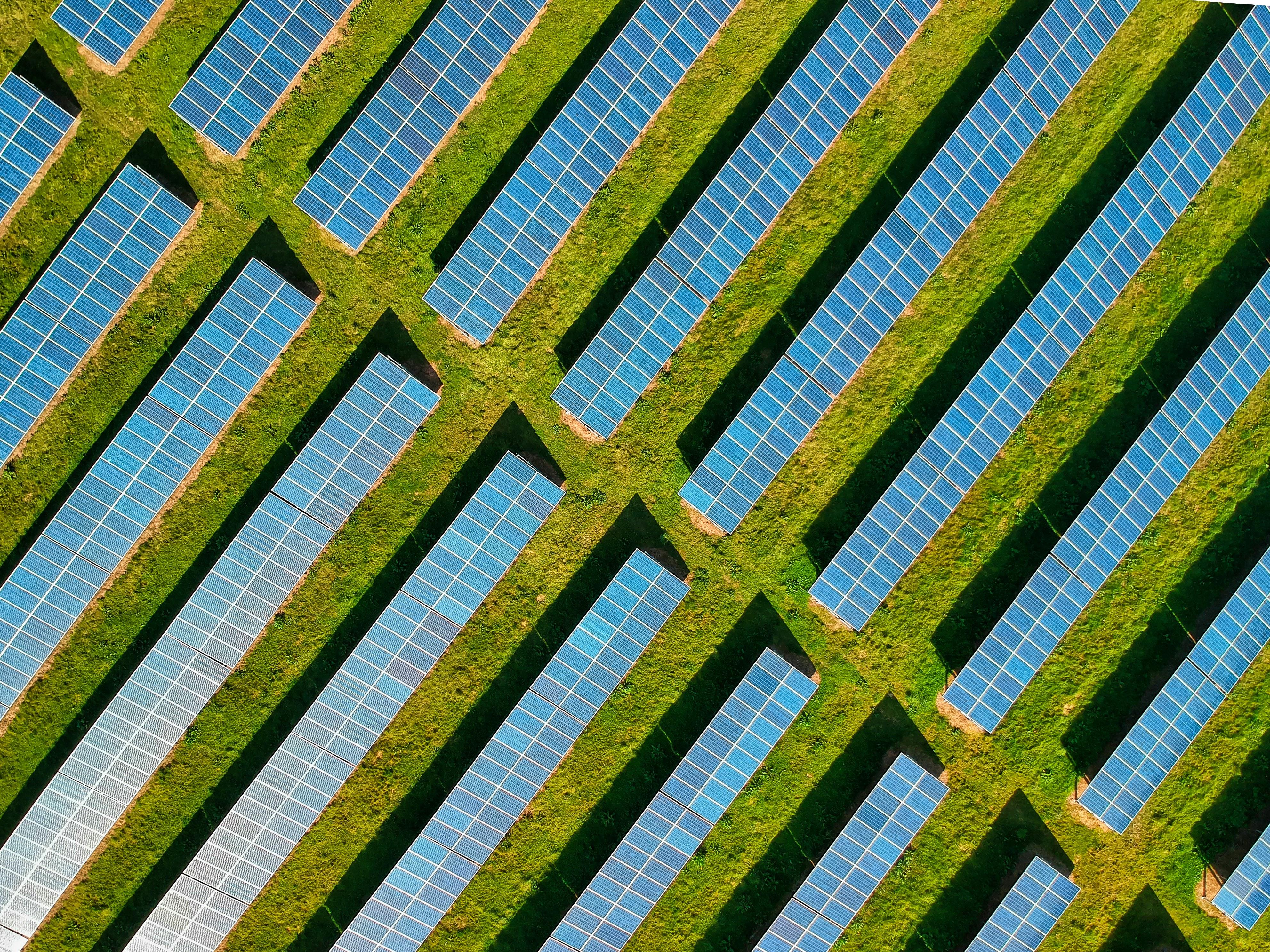 Aerial view of a solar farm with blue solar panels arranged in diagonal rows across vibrant green grass, conveying a sense of sustainable energy.
