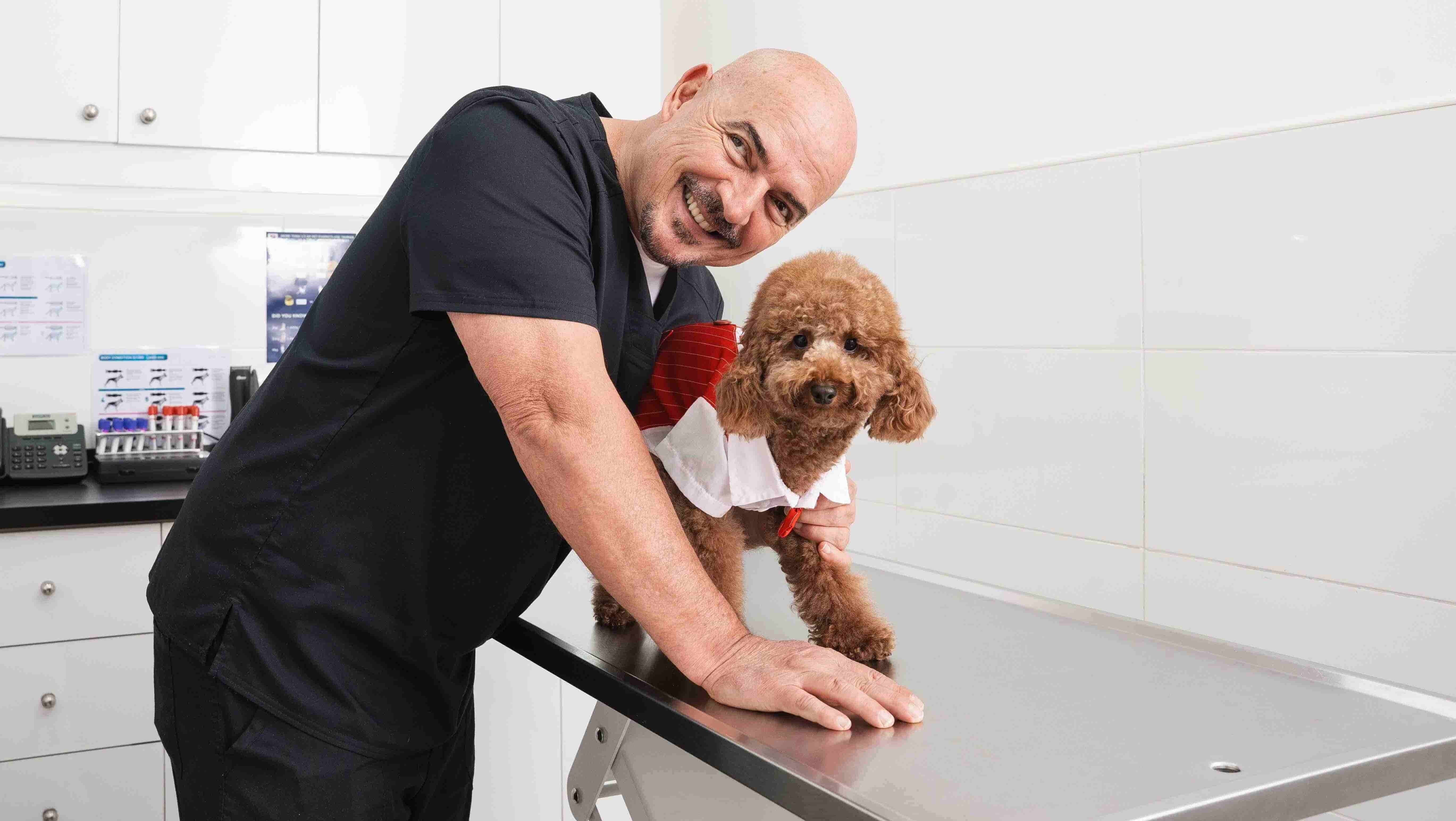 Veterinarian offering home vet services to ensure pets’ comfort and proper care.
