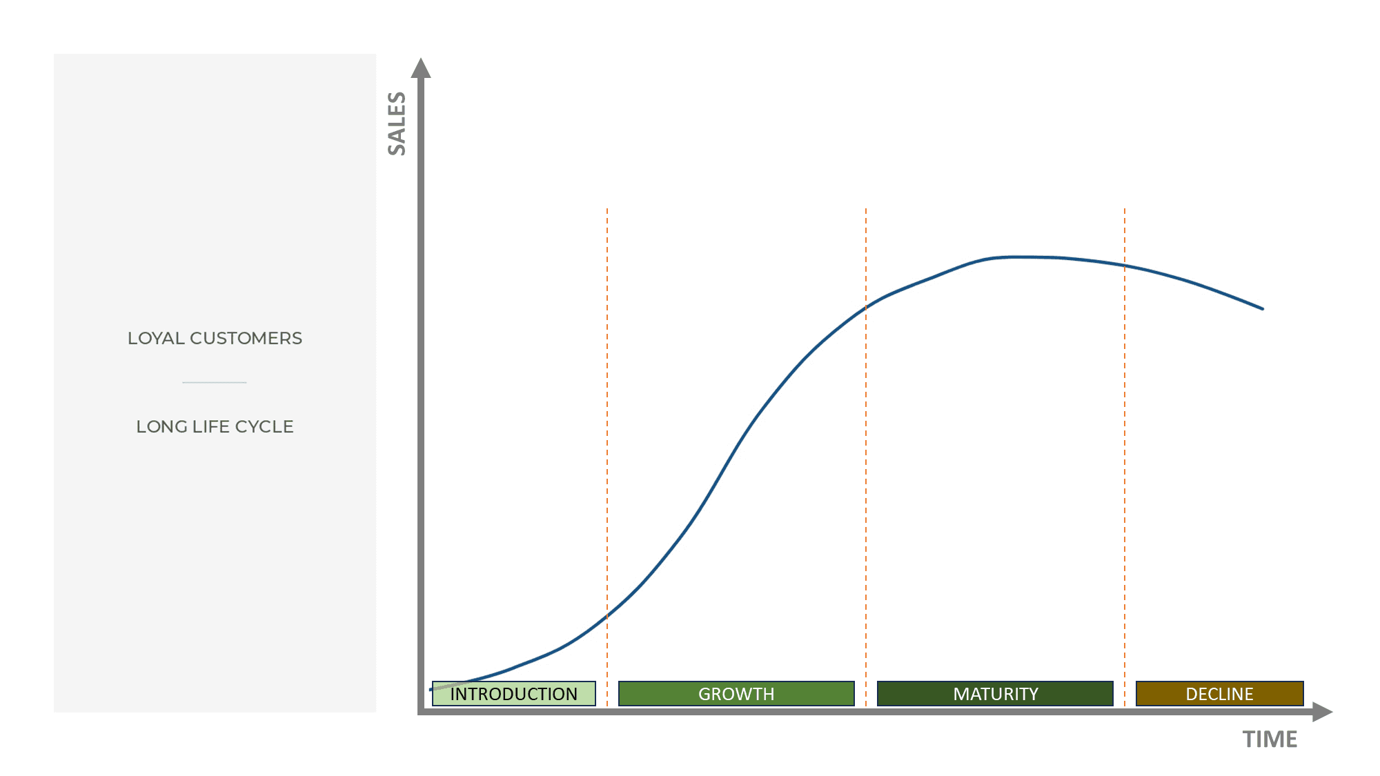 product life cycle