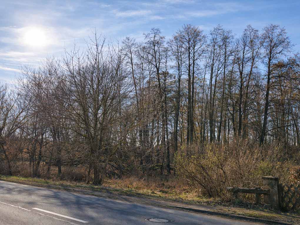 modern house with big windows
