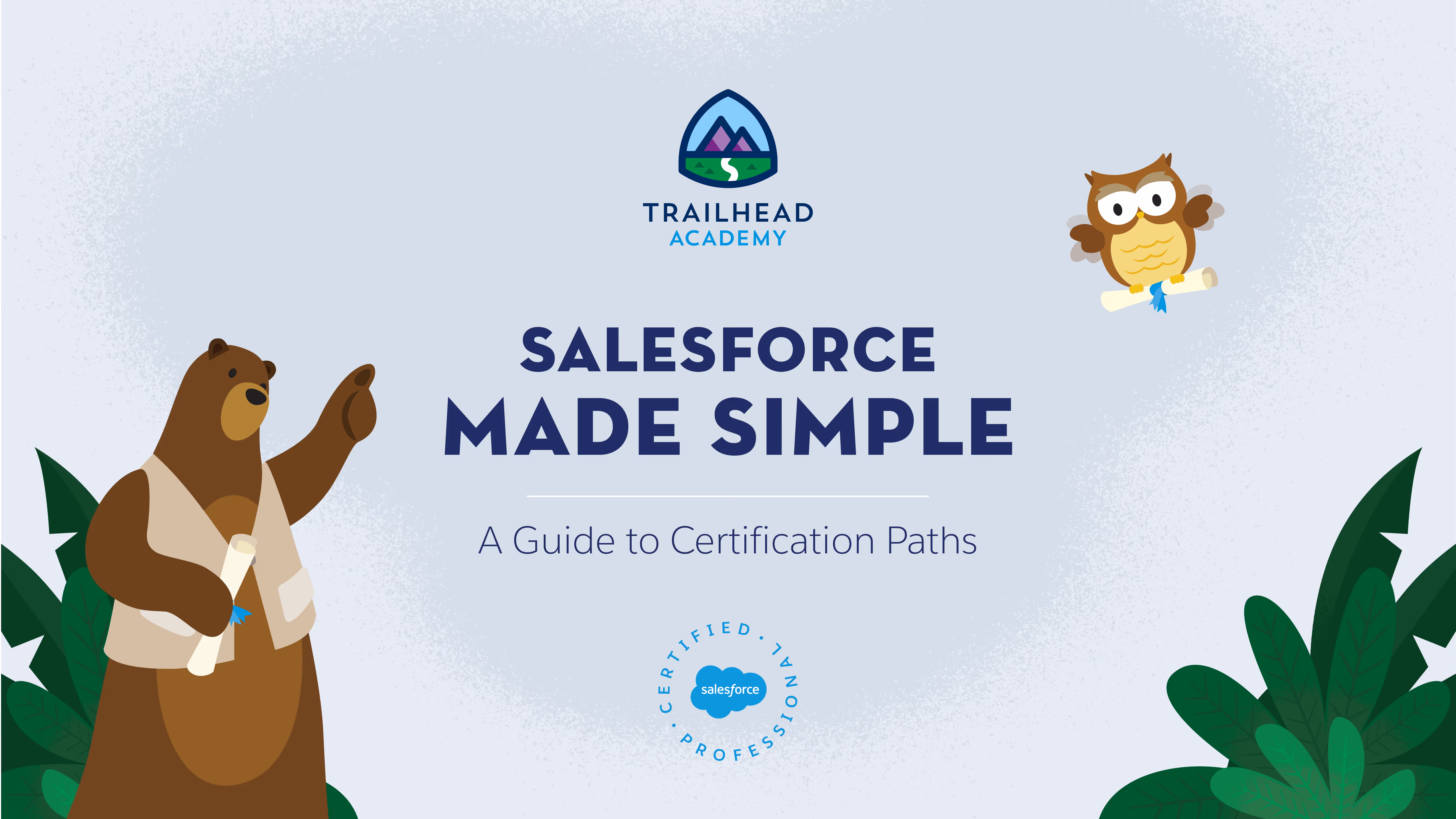 Which Salesforce Certification Is Best for 2024? - Twelverays blog