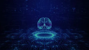 Capability Image