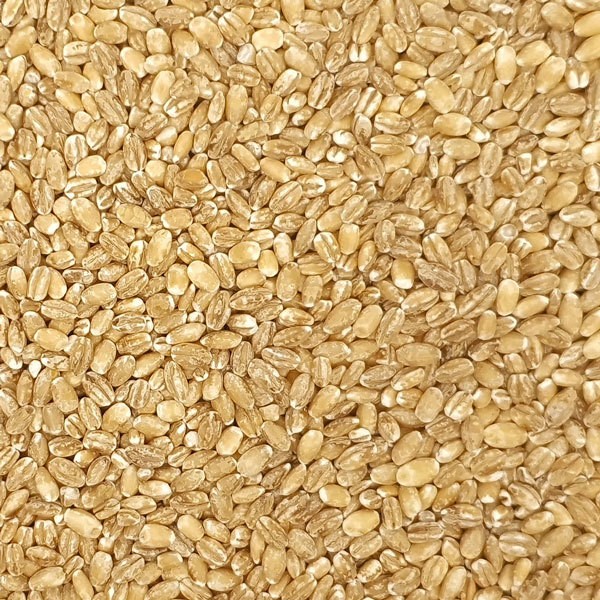 two people looking at a tablet and smiling