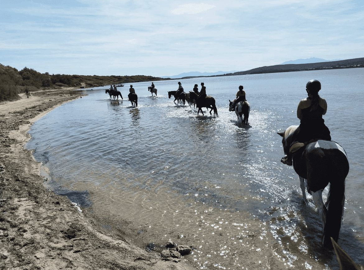 Groupe de cavaliers en randonnée équestre dans l'eau près de la mer au Cap d'Agde, Ranch Pegase.