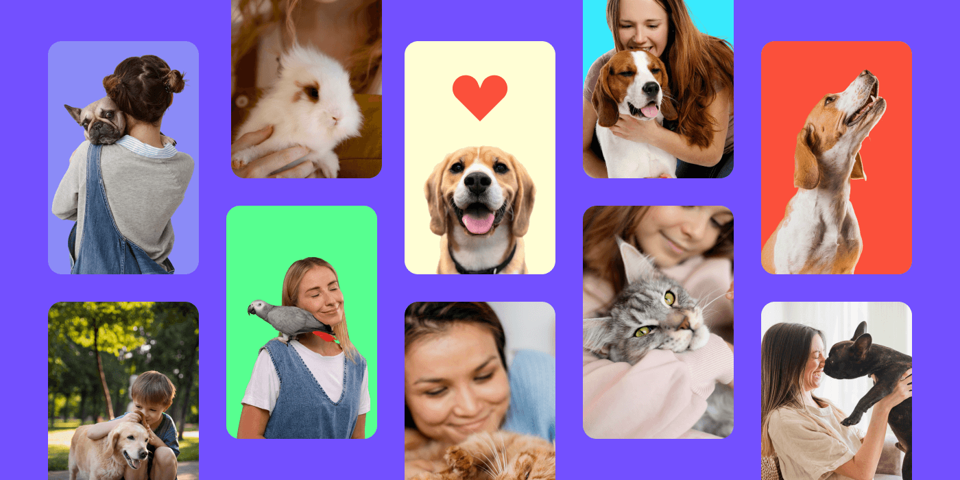 Project showcase laptop mockup