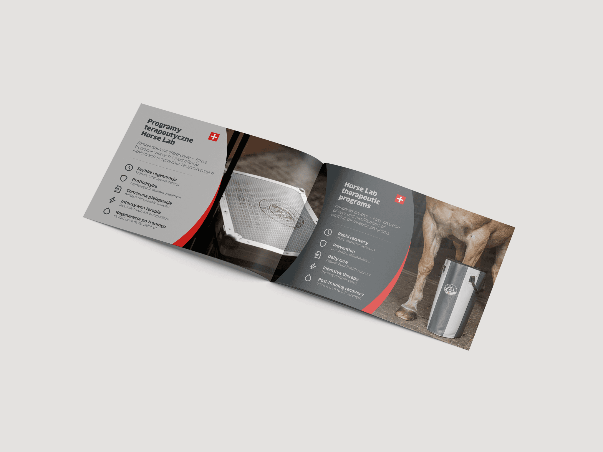 rozkładówka objaśniająca programy terapeutyczne firmt HorseLab
