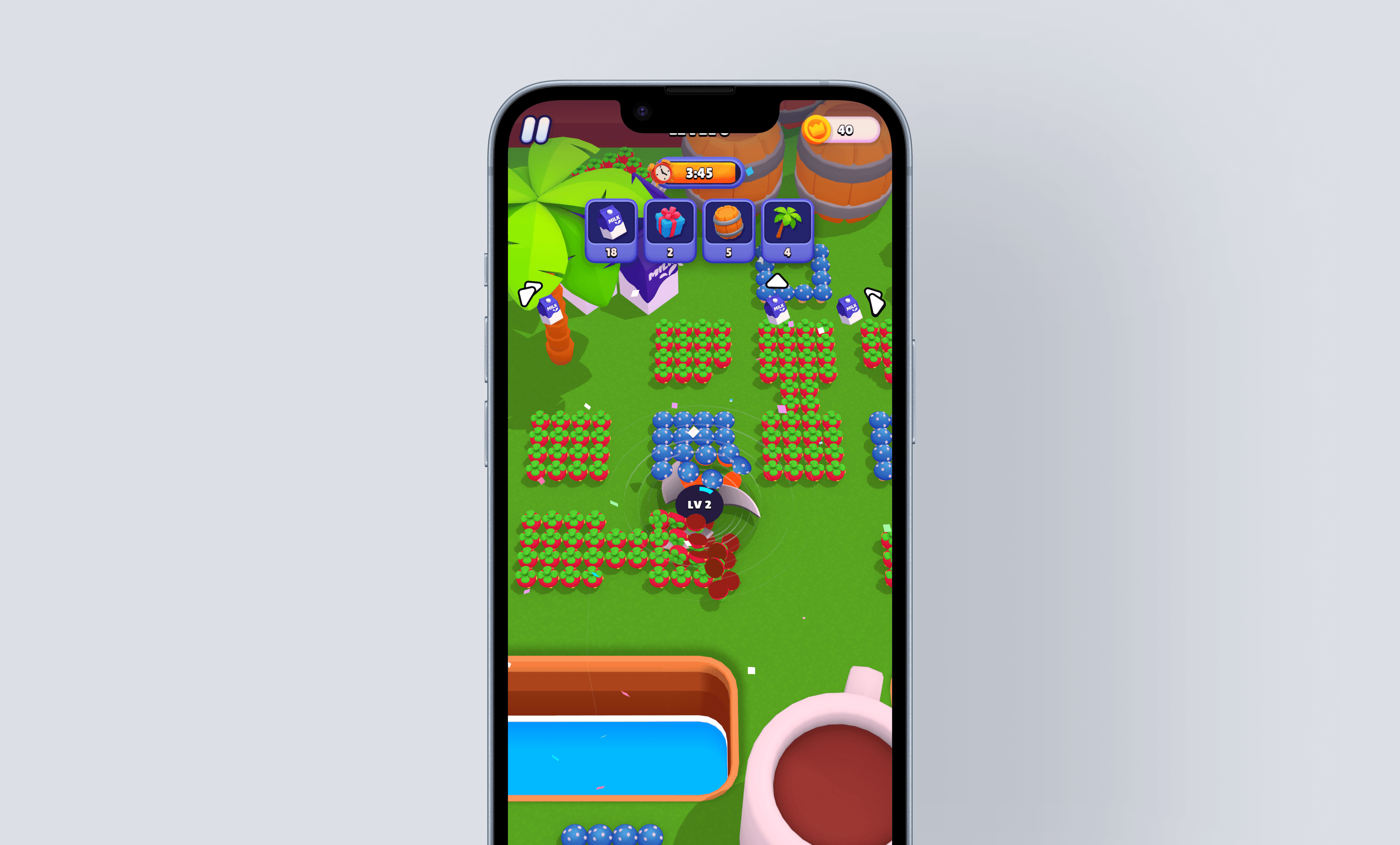 Large Project Gallery Image #4