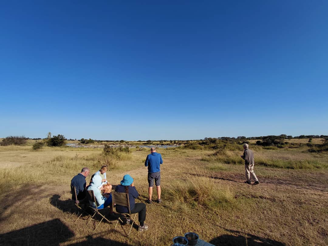 The 360° Impact Safari