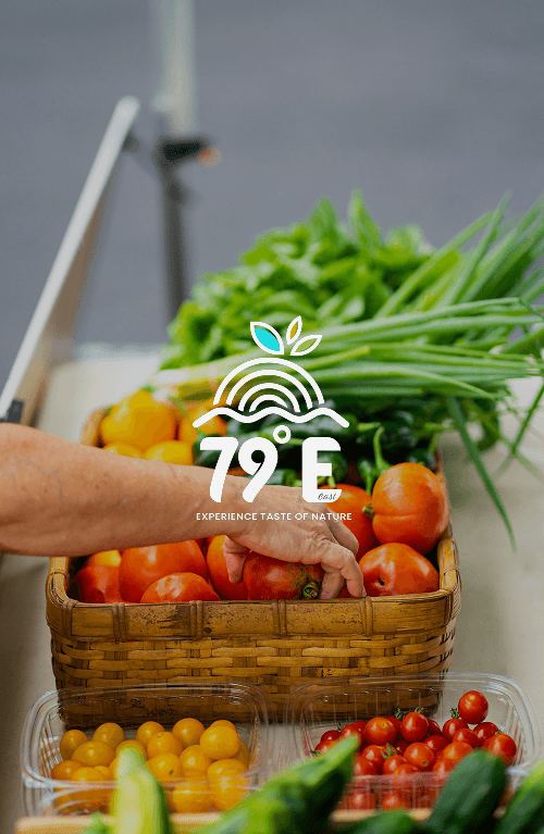 Brand identity design for 79 Degrees E food brand — Penguincil Design