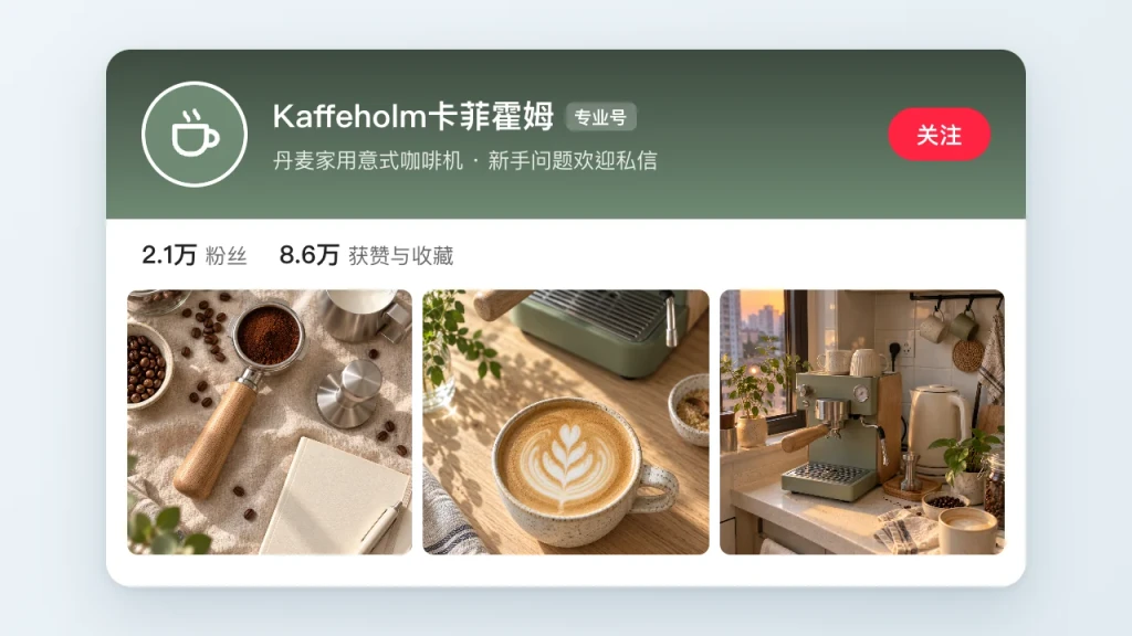 A sample brand's Xiaohongshu professional account