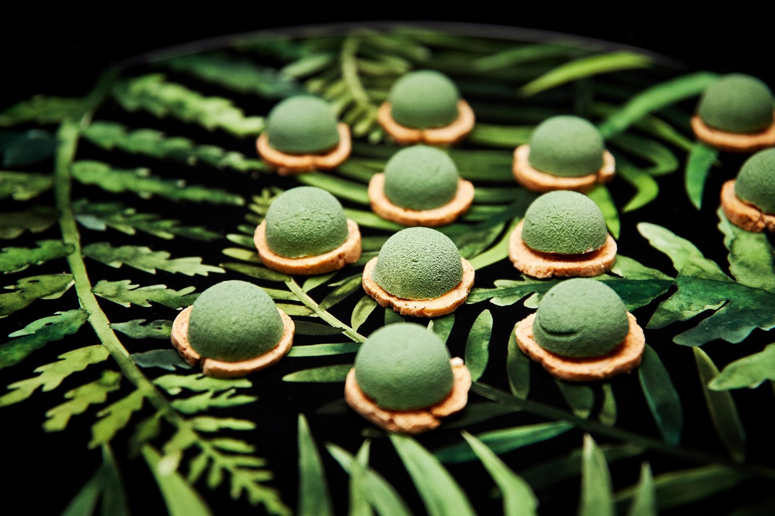 Green dusted canapes