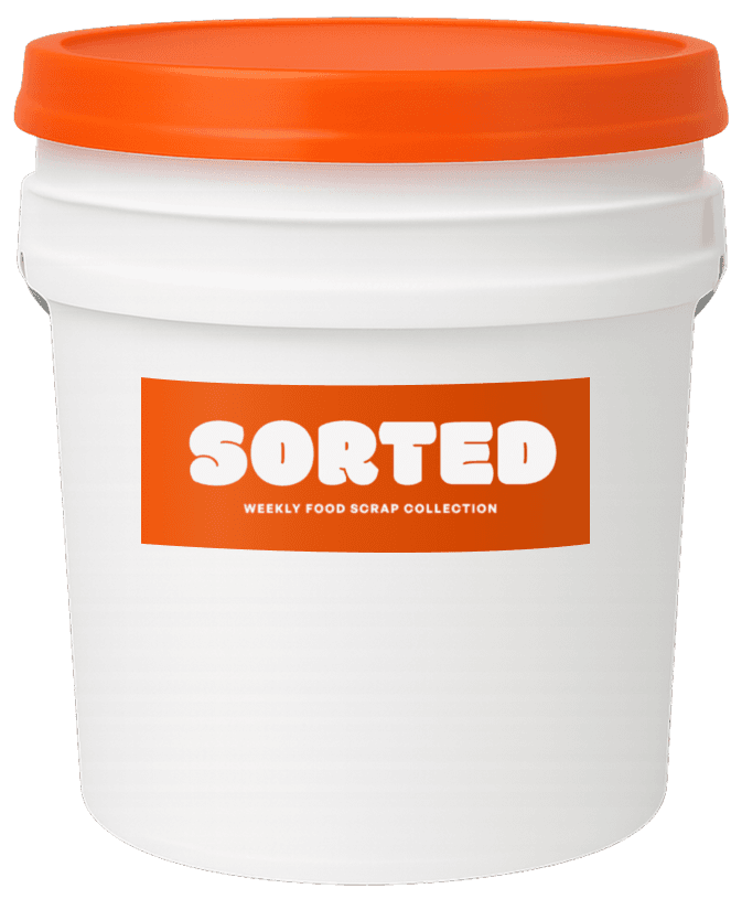 two people looking at a tablet and smiling