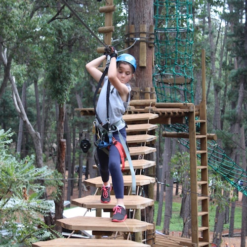 Dwellingup:在Dwellingup的树顶探险门票