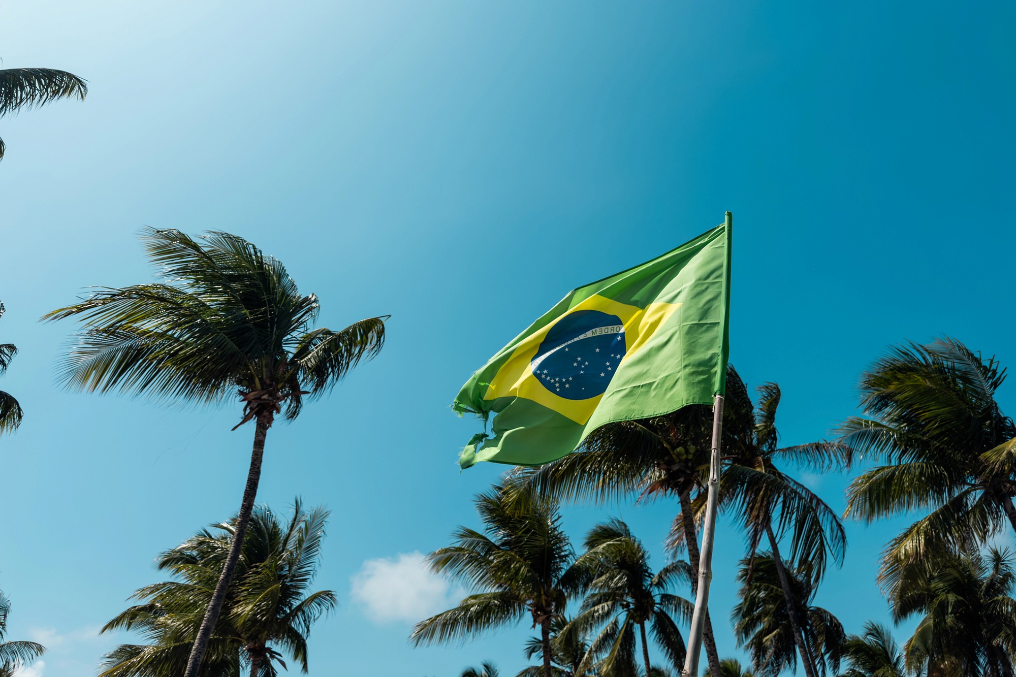 Brazilian Flag waving