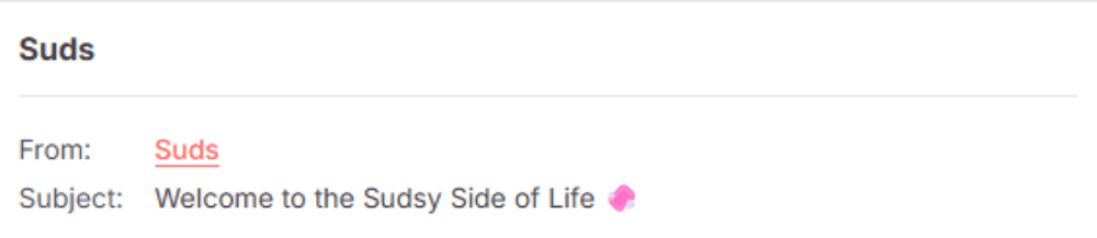 Suds email subject line reading 'Welcome to the Sudsy Side of Life 🧼' using playful language and an emoji to match the brand’s tone