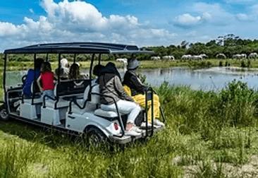 a woman getting a back massage at a spa