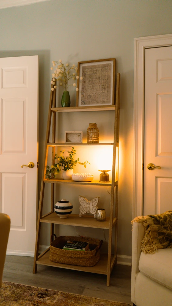 Therapy office entry with shelving, indoor plant, and warm ambient lighting.