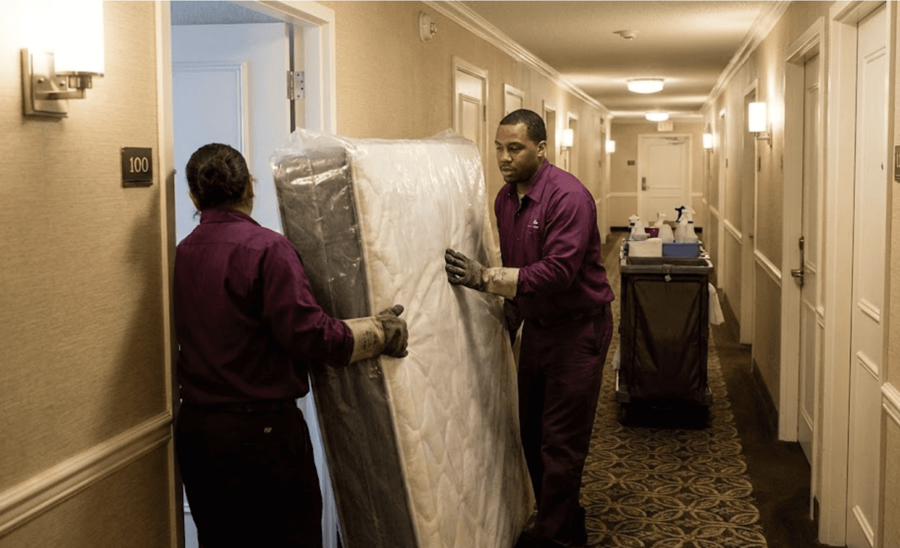 Feature illustration