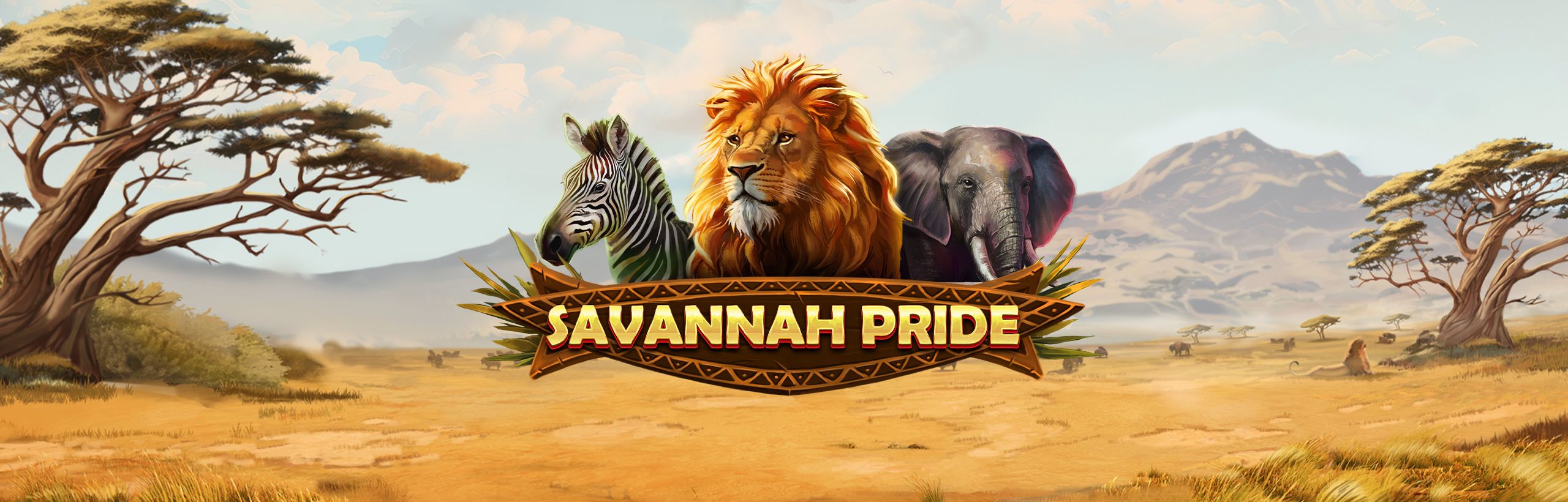Savannah Pride - visuel Red Tiger