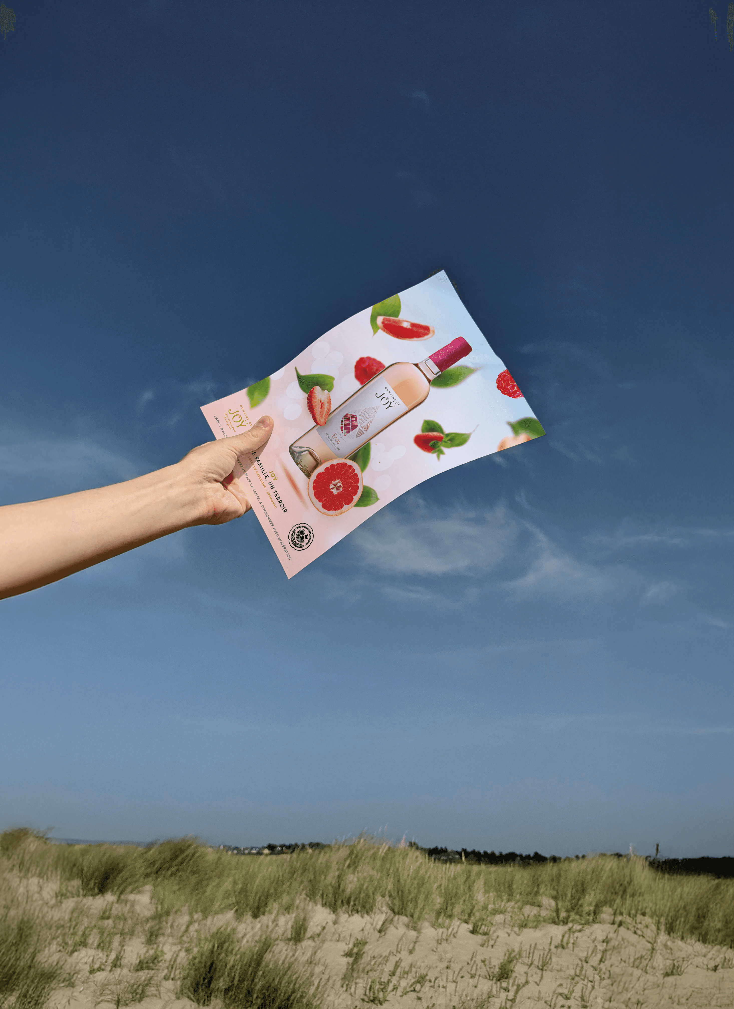 Affiche publicitaire colorée et fruitée pour le vin rosé Eros