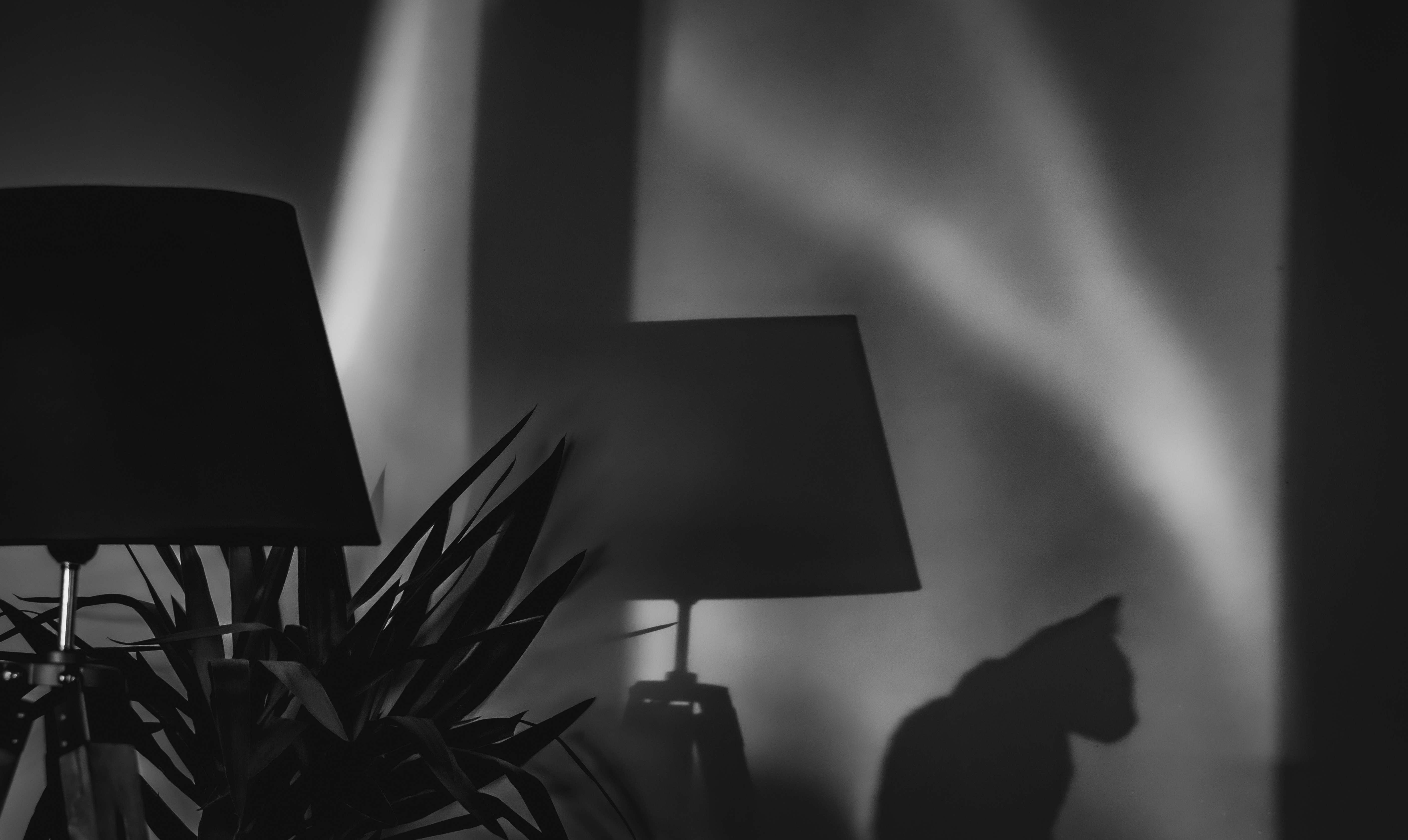 a black and white photo of a lamp and a horse