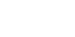 Company logo in white