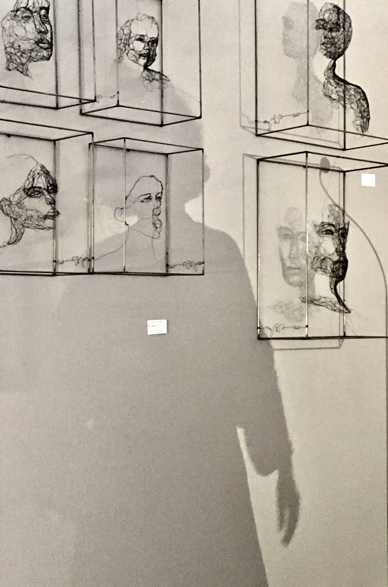 Ombre de Myriam Louvel sculptrice fil de fer se projetant sur le mur de son atelier à L'Isle-sur-la-Sorgue