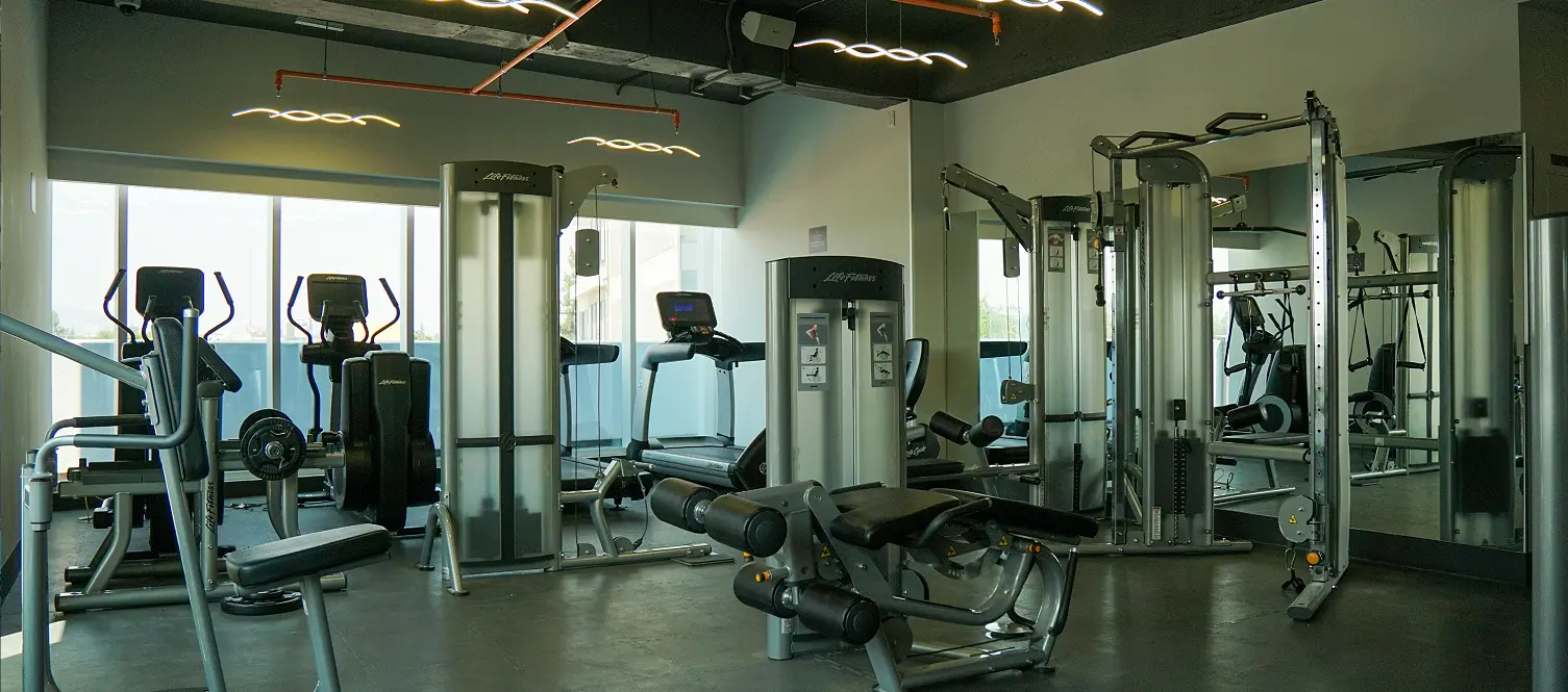 Gimnasio