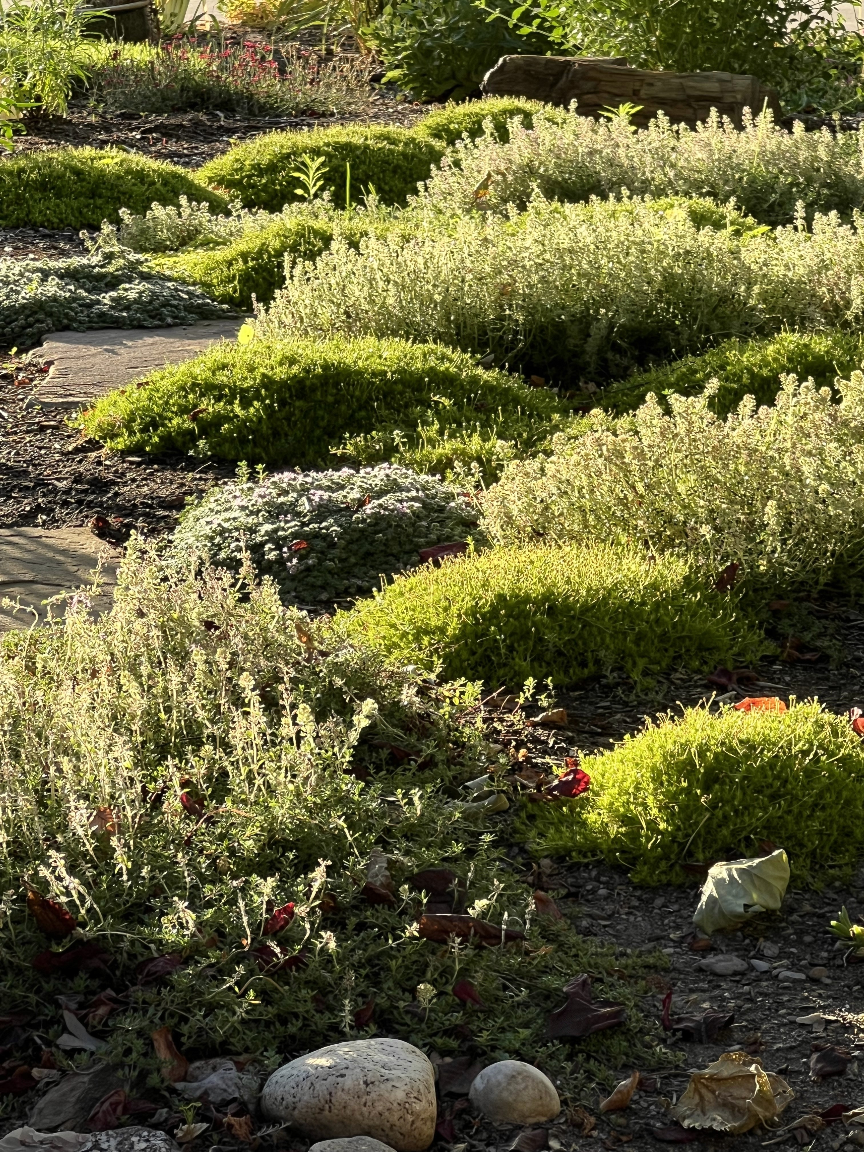 A smiling woman with her arms crossed, standing against a dark green background. She has long, dark hair.