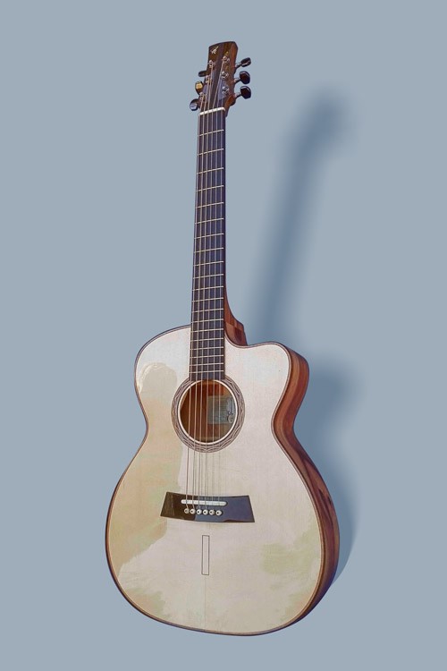 Mervyn Davis Guitars Charmer (OM)