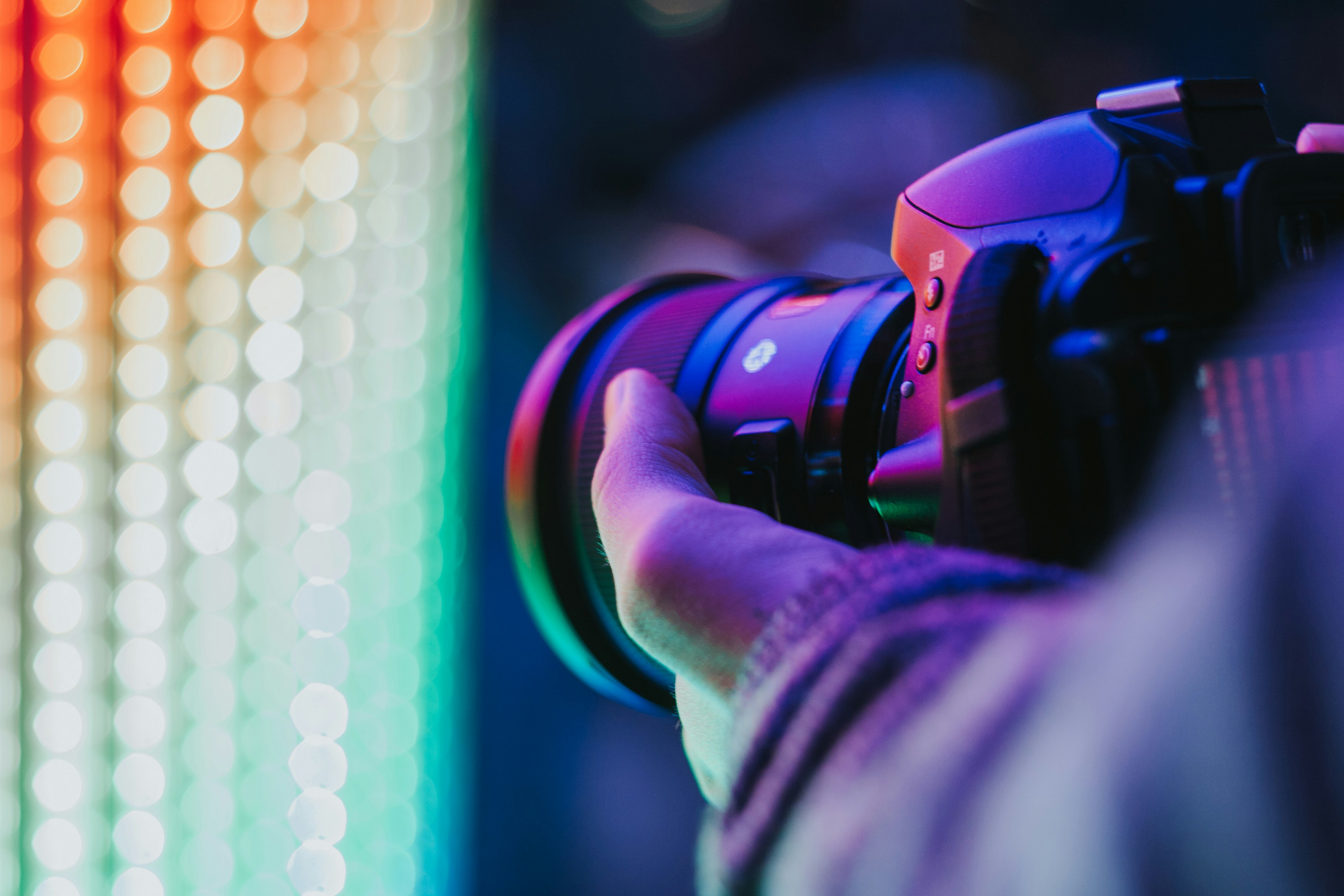 person holding DSLR camera