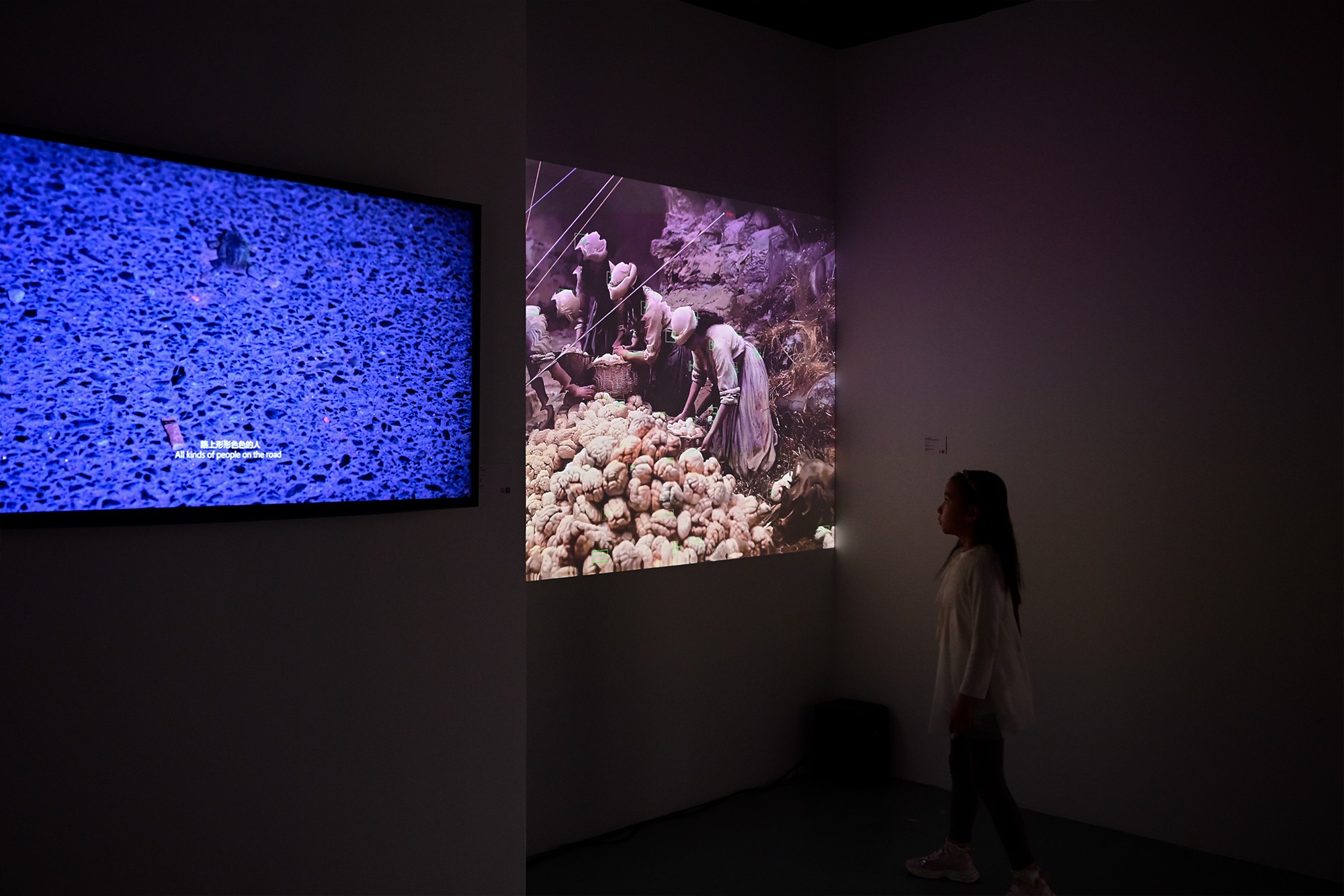 展览现场 13